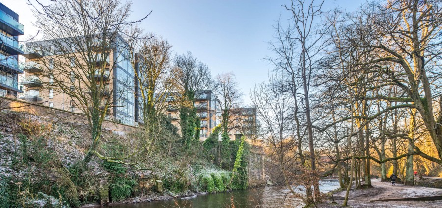 20190131 Queen Margaret Drive 026